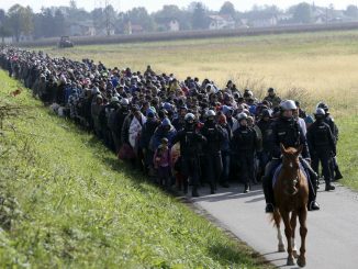 819074-a-mounted-policeman-leads-a-group-of-migrants-near-dobova