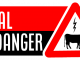Logo halal en danger. préserver le hala en belgique, et surtout le droit de s