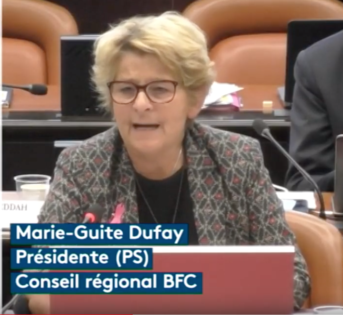 Scandale au Conseil Régional de Bourgogne : la Présidente PS Dufay accepte une voilée !