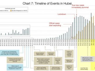 timeline-of-events-in-hubei-coronavirus.jpg