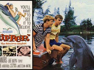 Flipper_1963_movie_poster.jpg