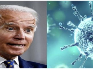 Ressemblance entre la tete de Biden et le coronavirus