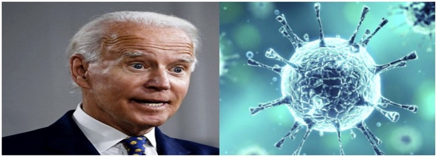Ressemblance entre la tete de Biden et le coronavirus