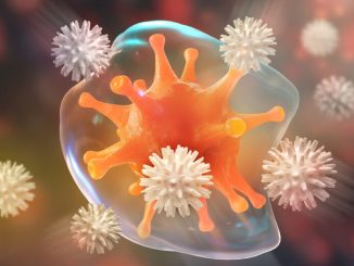 Les leucocytes attaquent le virus dans le système immunitaire. (Yurchanka Siarhei/Shutterstock)