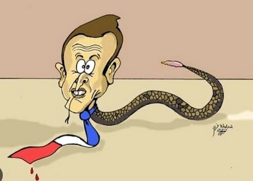 Macron caricaturé en vipère