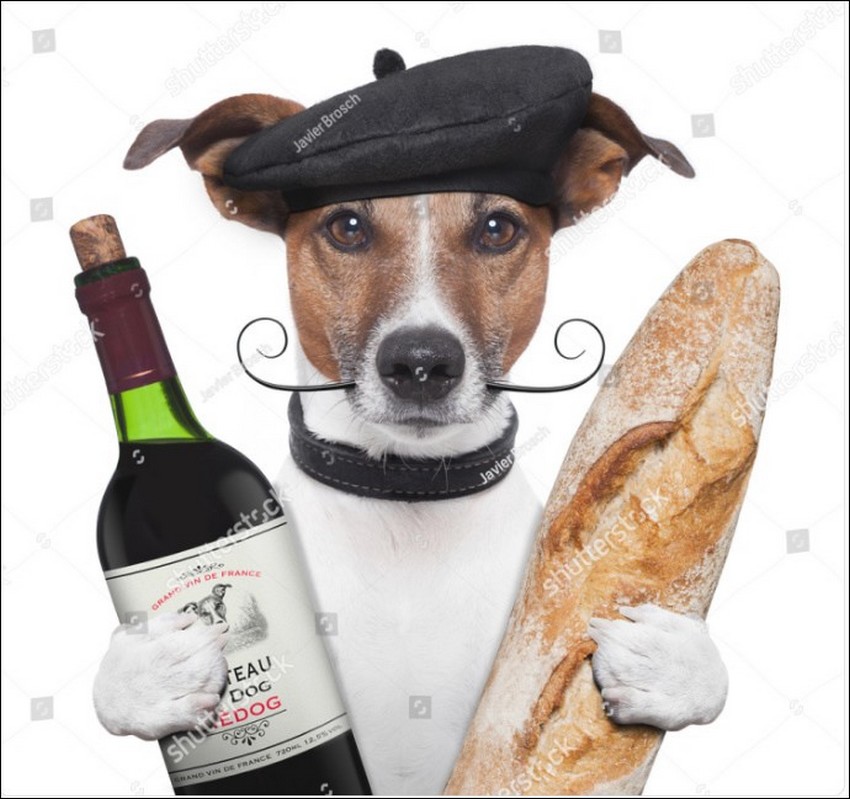 Le Français avec son béret, sa baguette et son vin