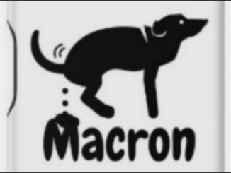 Les chiens adorent le Macron