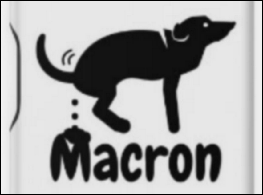 Les chiens adorent le Macron