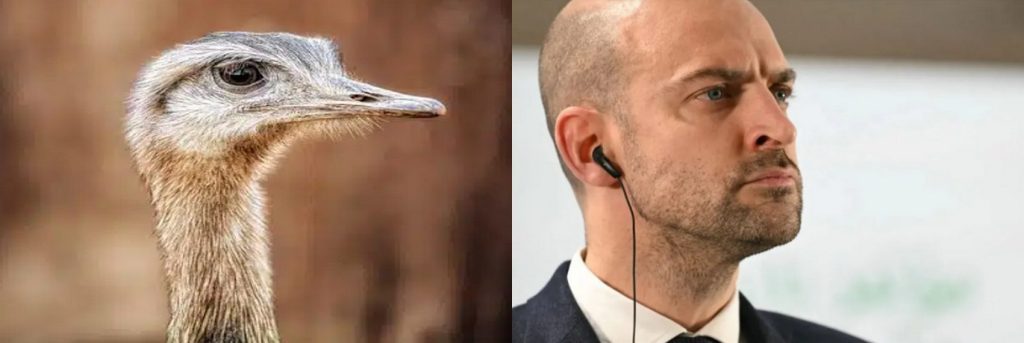 L’une des deux choses ci-dessous est le ministre des Affaires étrangères de la France.